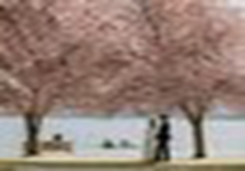 世界上最重口味的酒店，体验者不断需提前预约